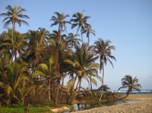 cabo-beach